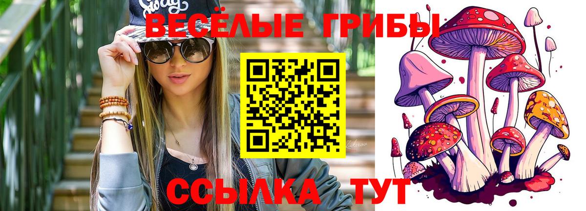 Галлюциногенные грибы Cubensis  что такое   Гулькевичи  Вход с VPN 